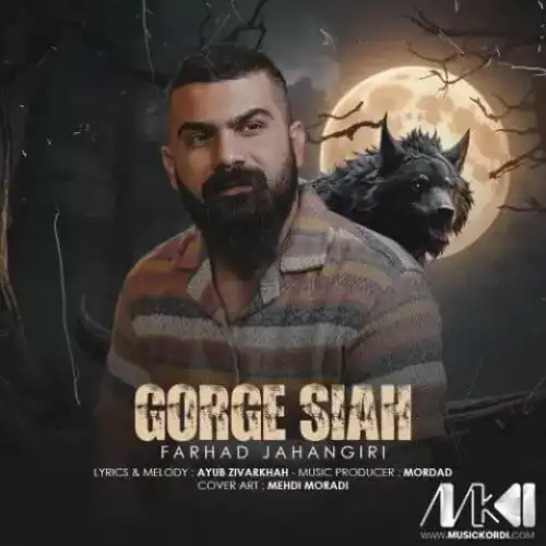 گرگ سیاه